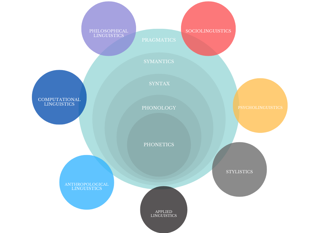 Diagram inspired by Jane Aitchison's linguistics book