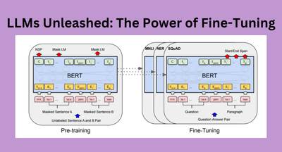 LLMs Unleashed: The Power of Fine-Tuning