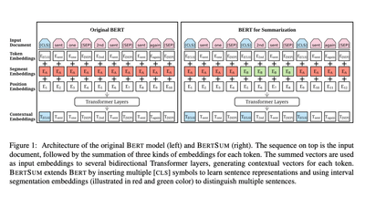 Exploring the Marvels of BERT and its Top Applications